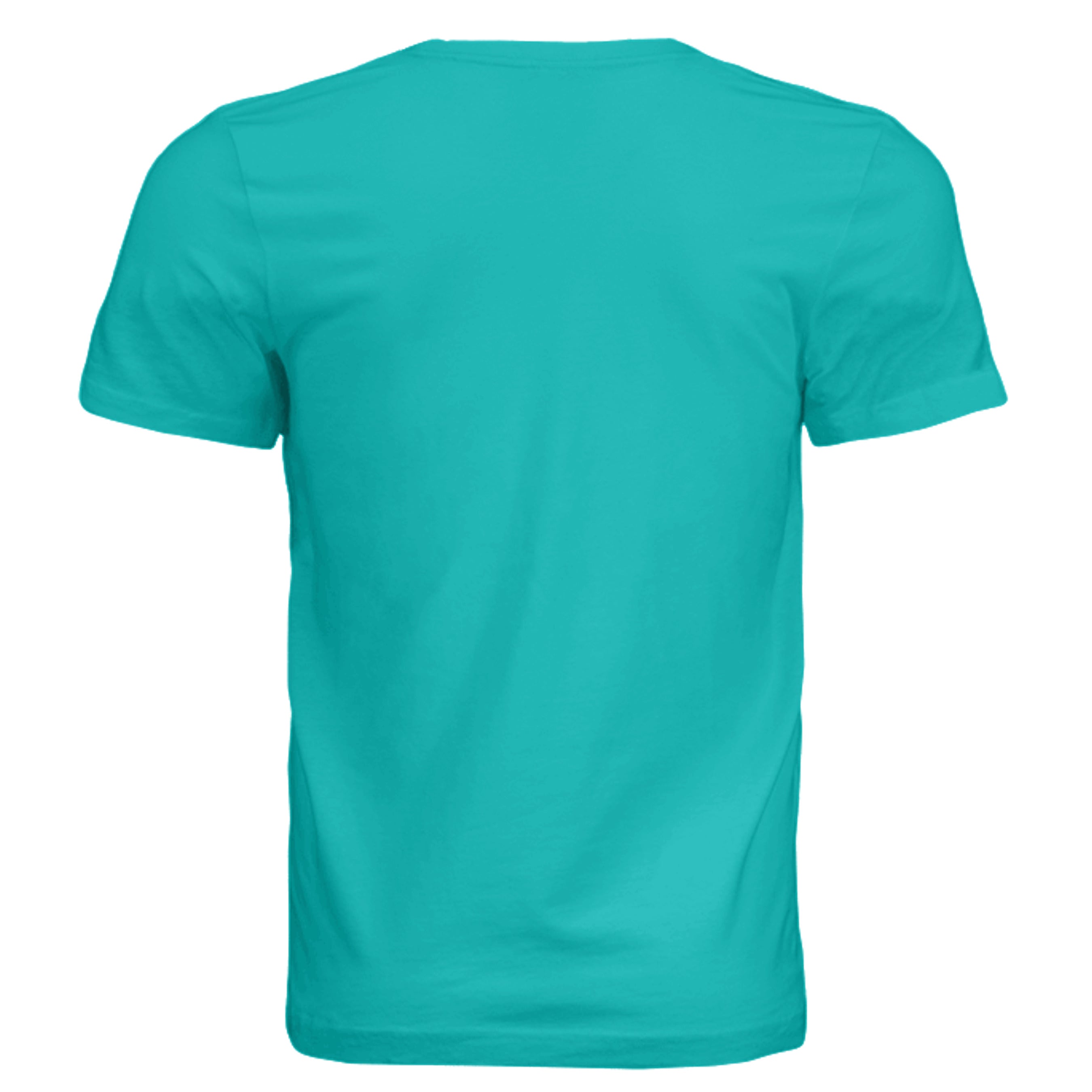TEAL - 3001C - BACK