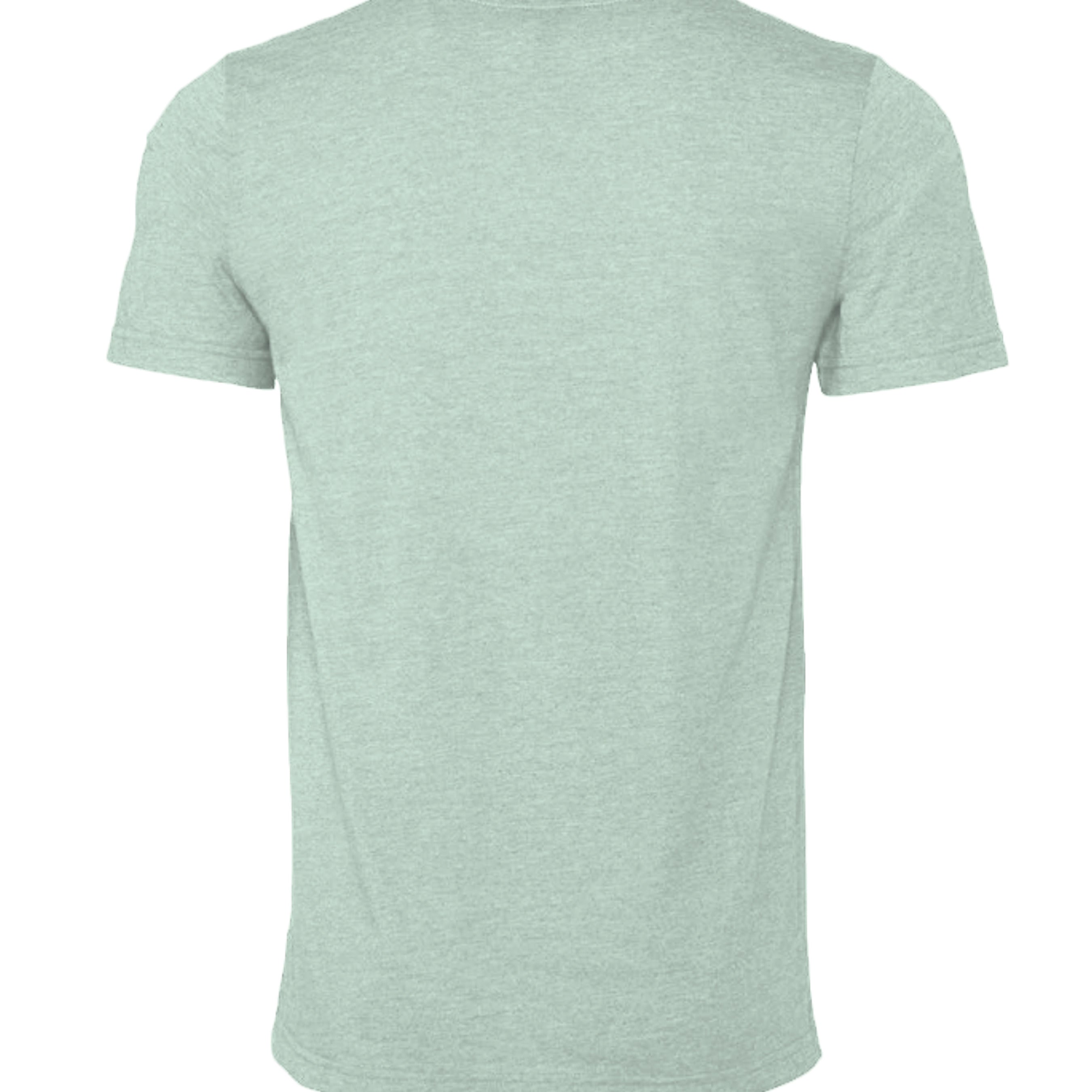 Heather Prism Mint - 3001CVC - BACK